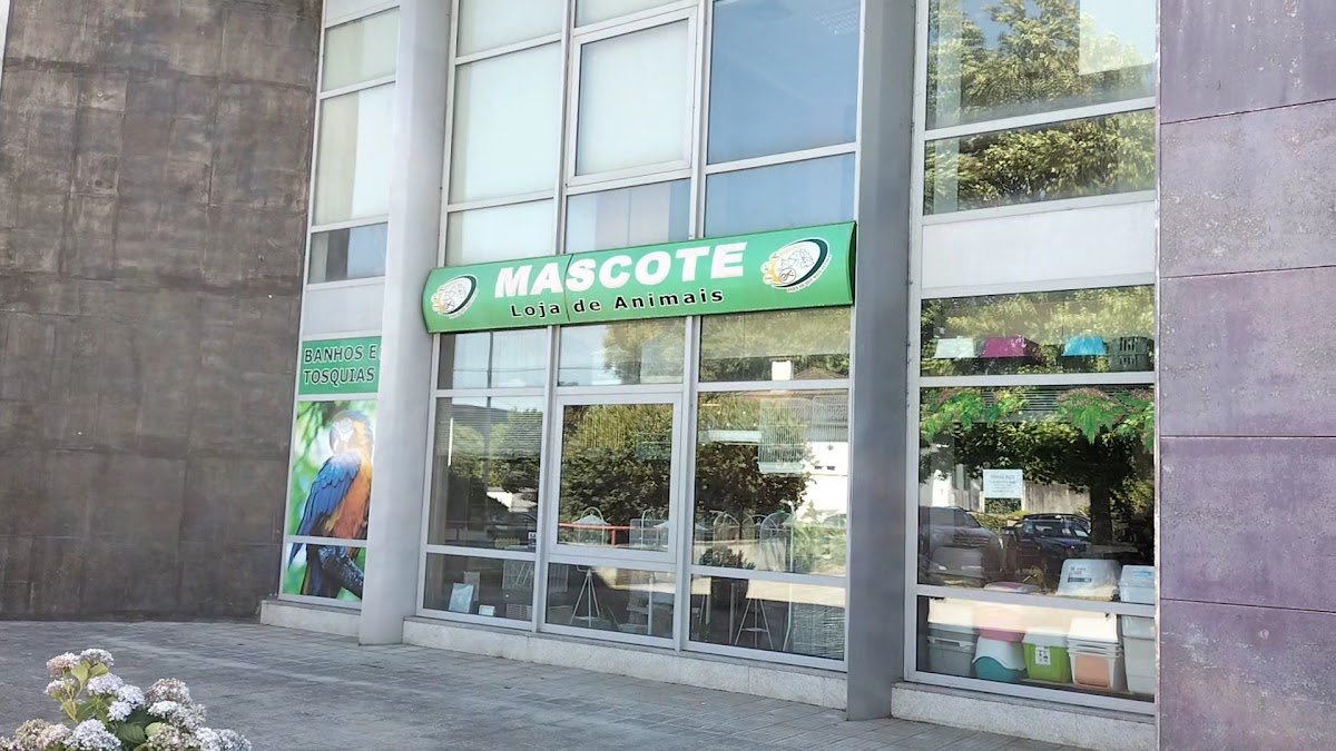 Mascote - Foto 2