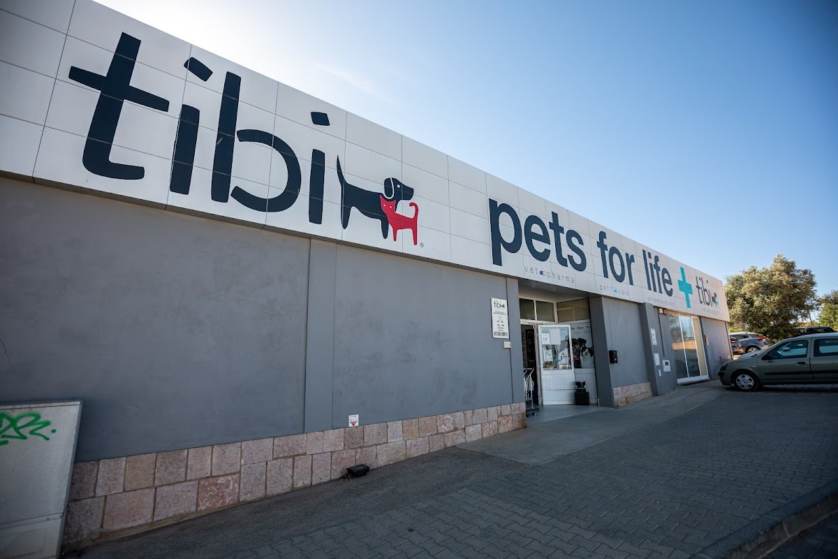 Tibi Guia - Foto 2