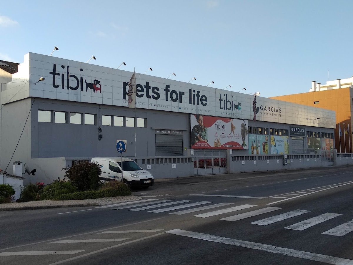 Tibi Lagos - Foto 2