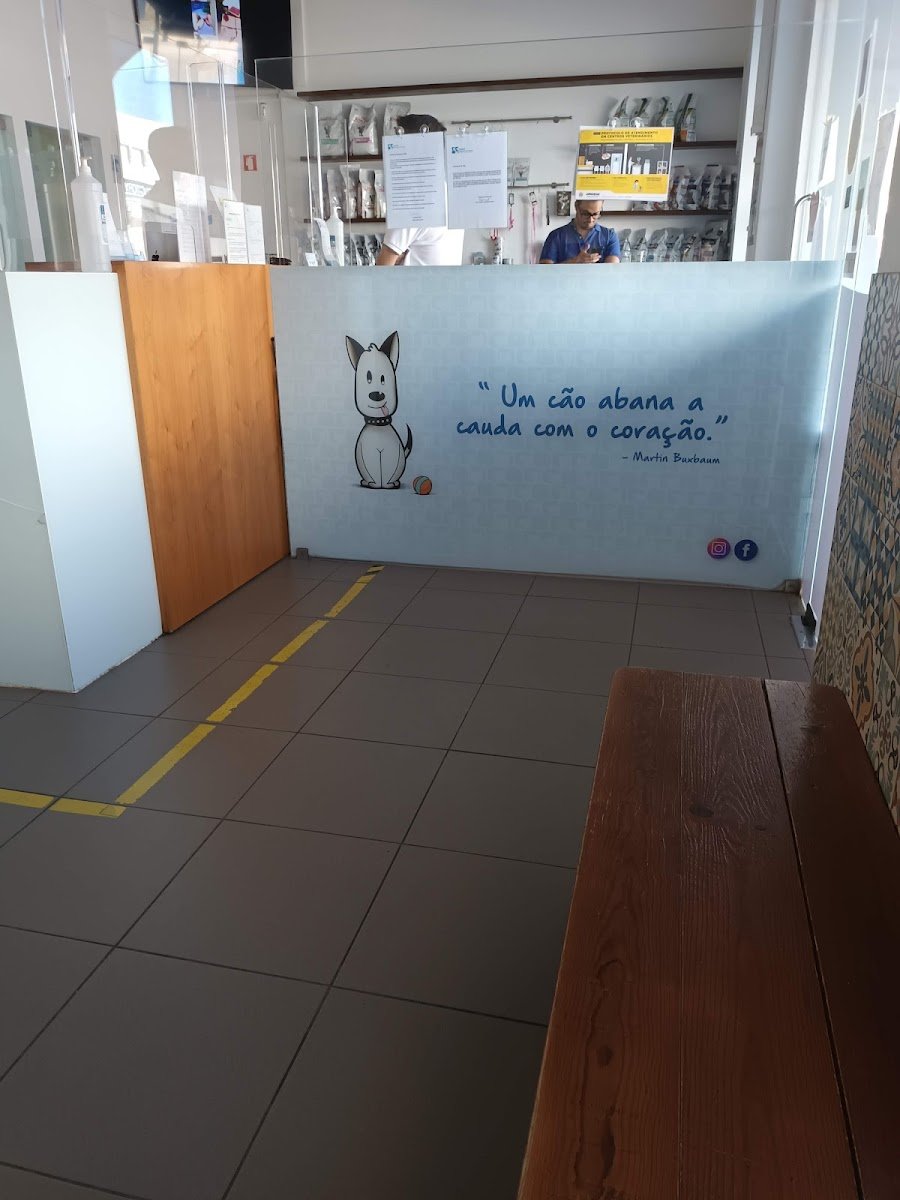 Hospital Veterinário de Portimão - Foto 2