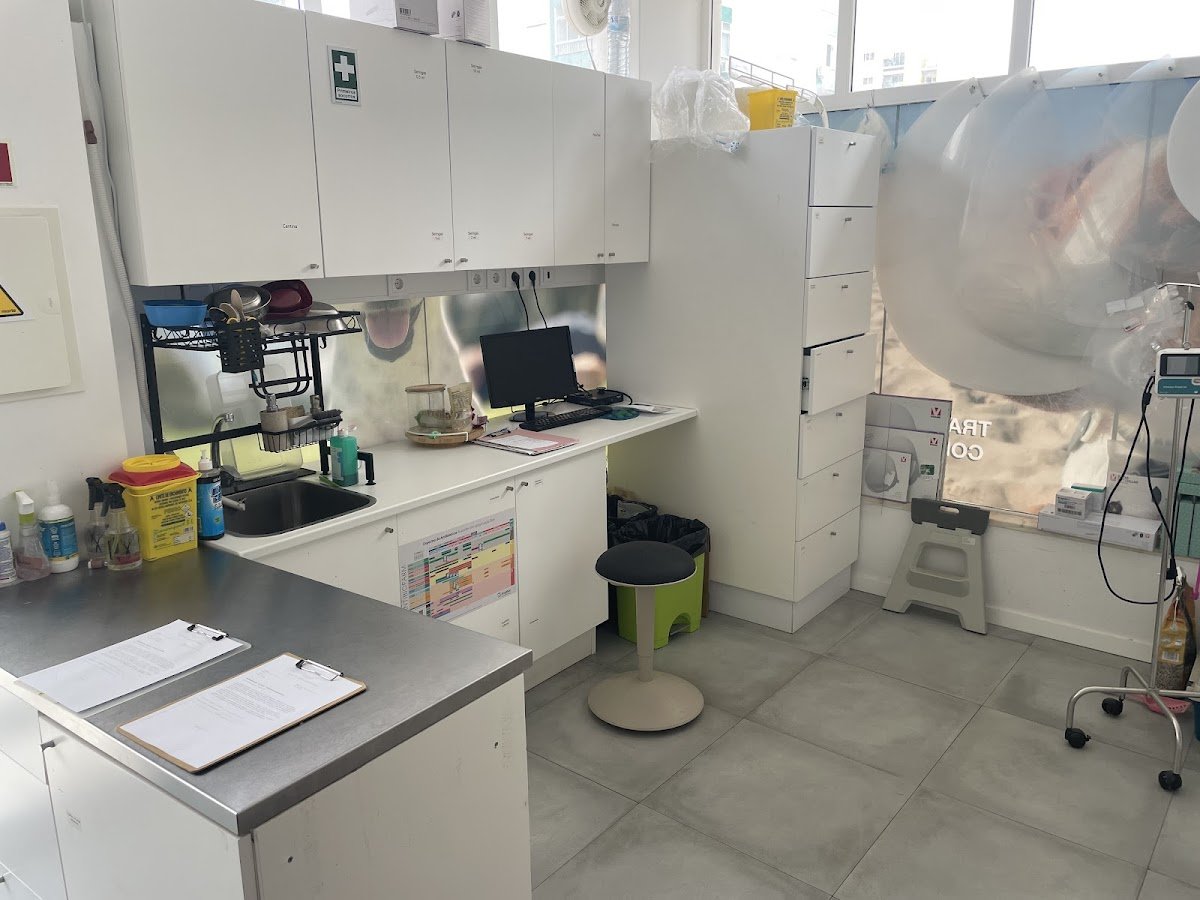 Clinica Veterinária Solvet - Foto 2