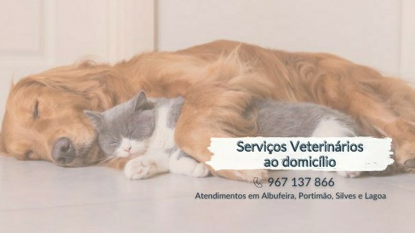 Petzen Medicina Veterinária Integrativa -- Atendimento ao domicílio - Foto 2