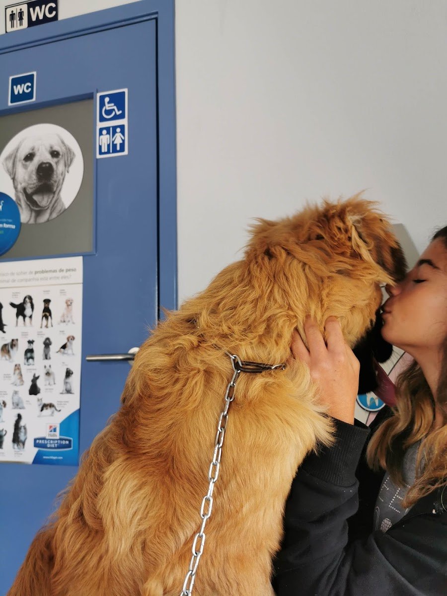 Just4Pets - Foto 2