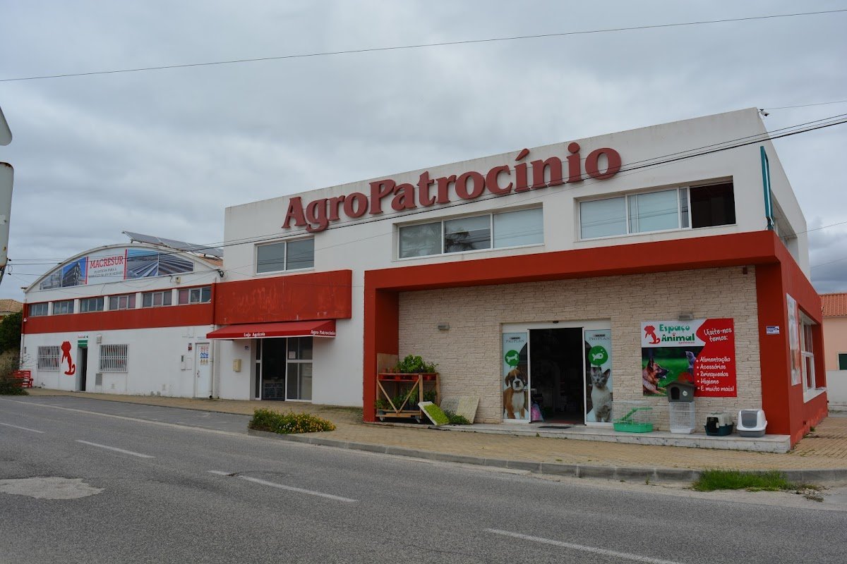 Agropatrocinio - Foto 2