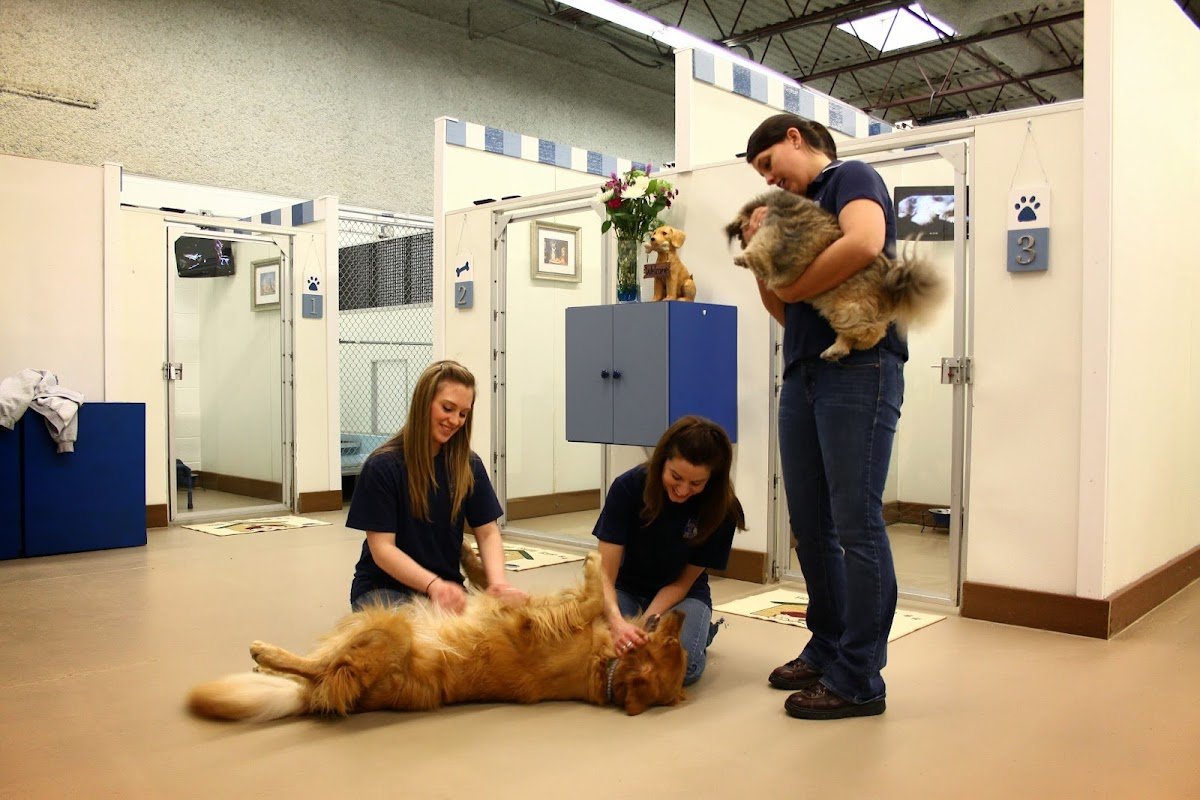 INN to PETS - Photo 2