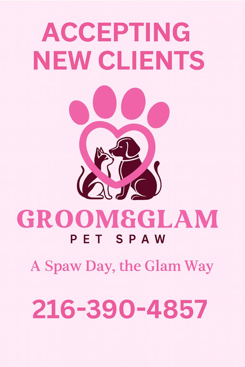 Groom&Glam Pet Spaw - Photo 2