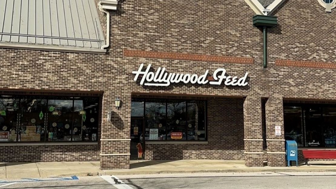Hollywood Feed - Photo 2