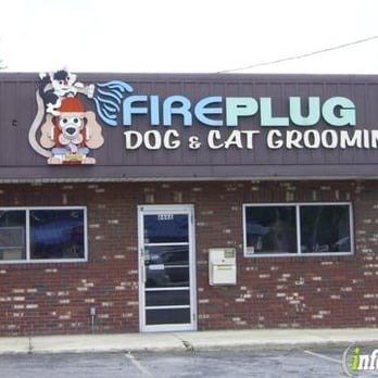 Fire Plug Dog & Cat Grooming - Photo 2