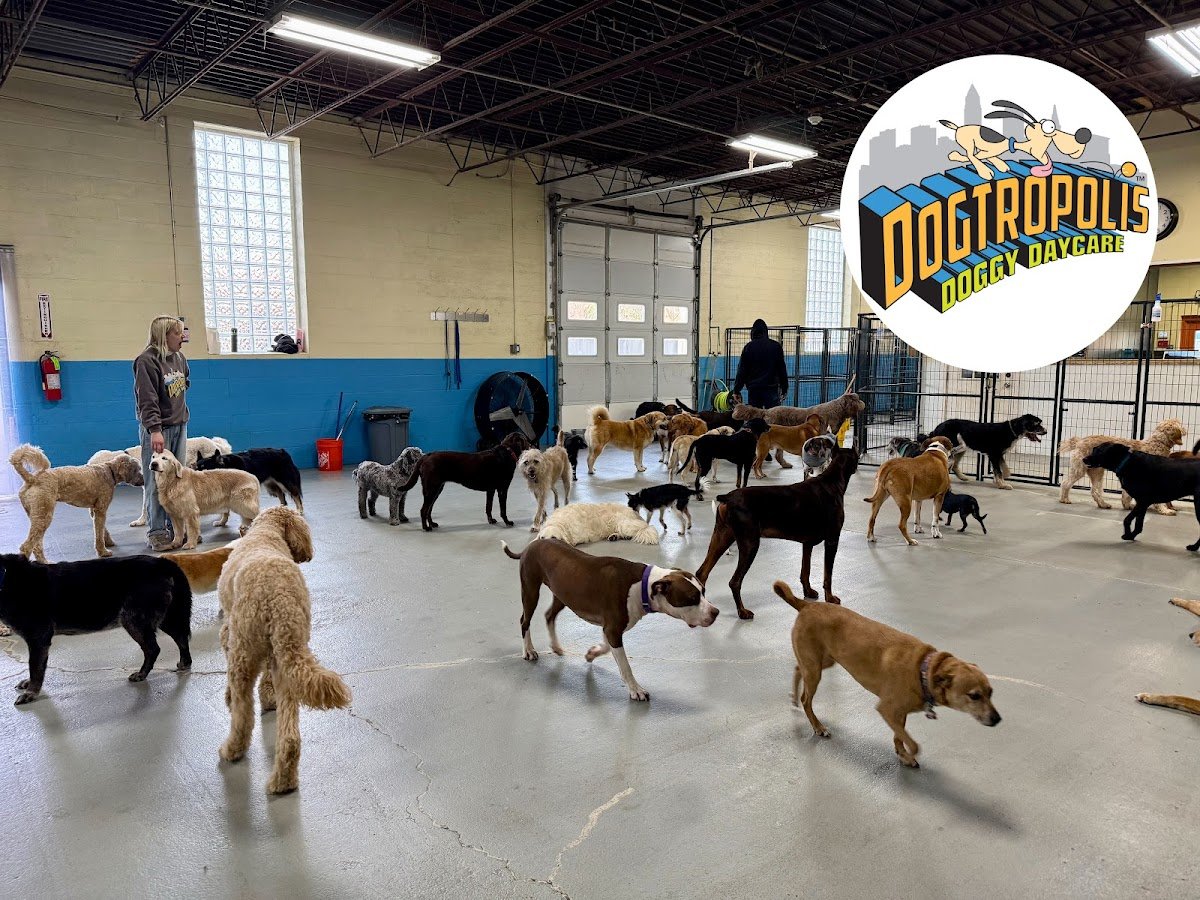 Dogtropolis - Photo 2