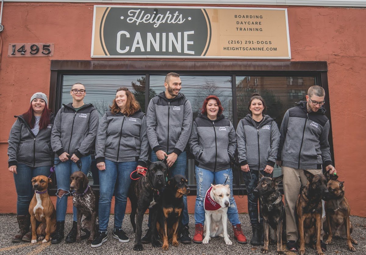Heights Canine - Photo 2