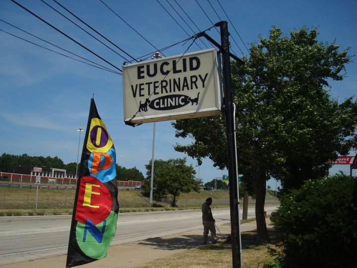 Euclid Veterinary Clinic Inc - Photo 2