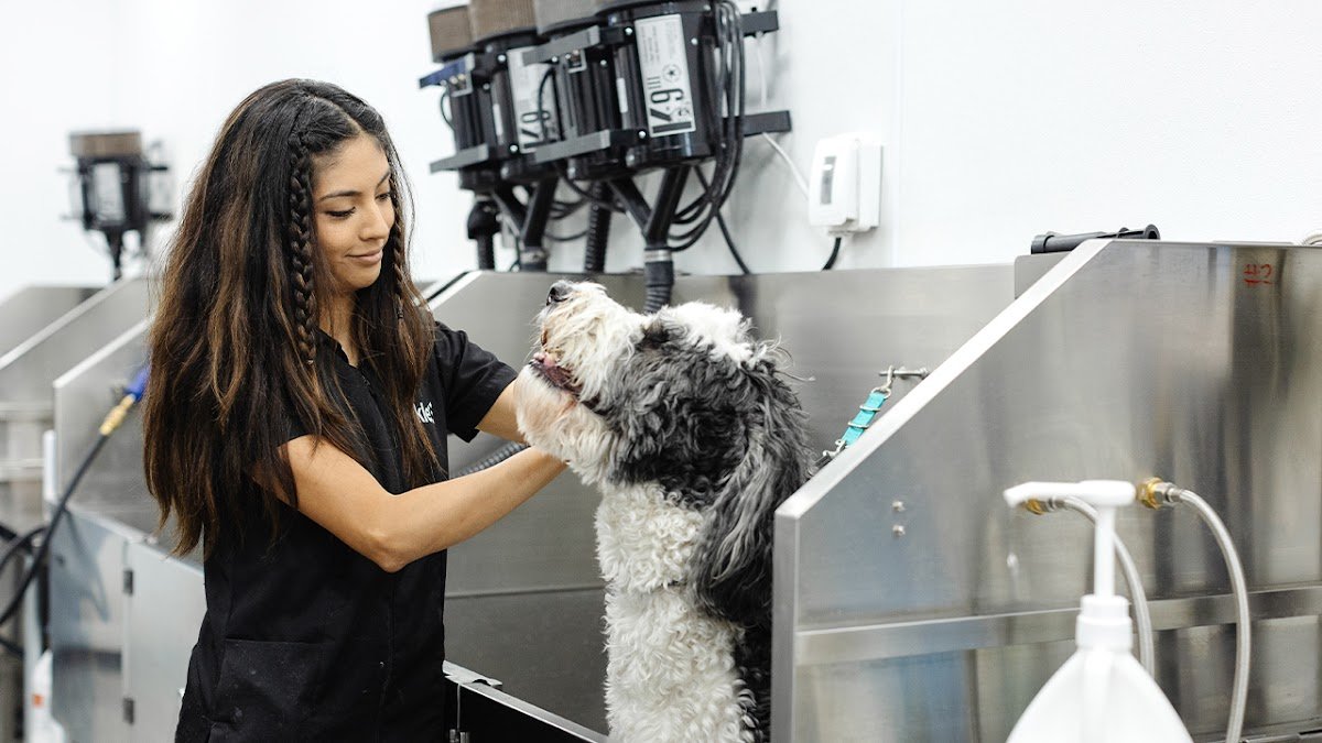 Sparkle Grooming Co. - Photo 2