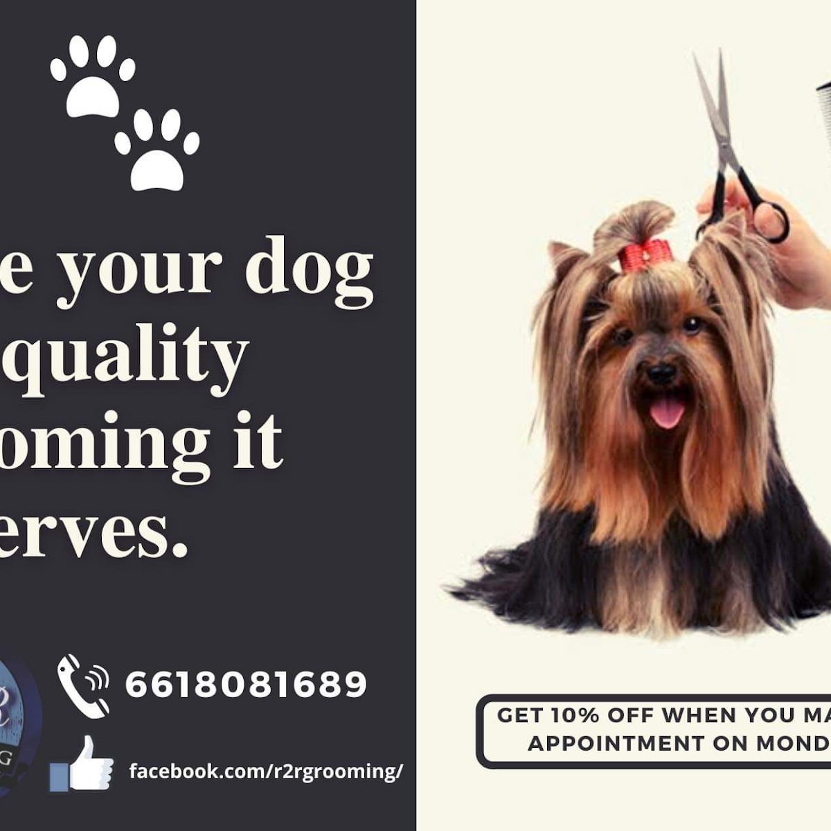 Raggs2Riches Grooming - Photo 2