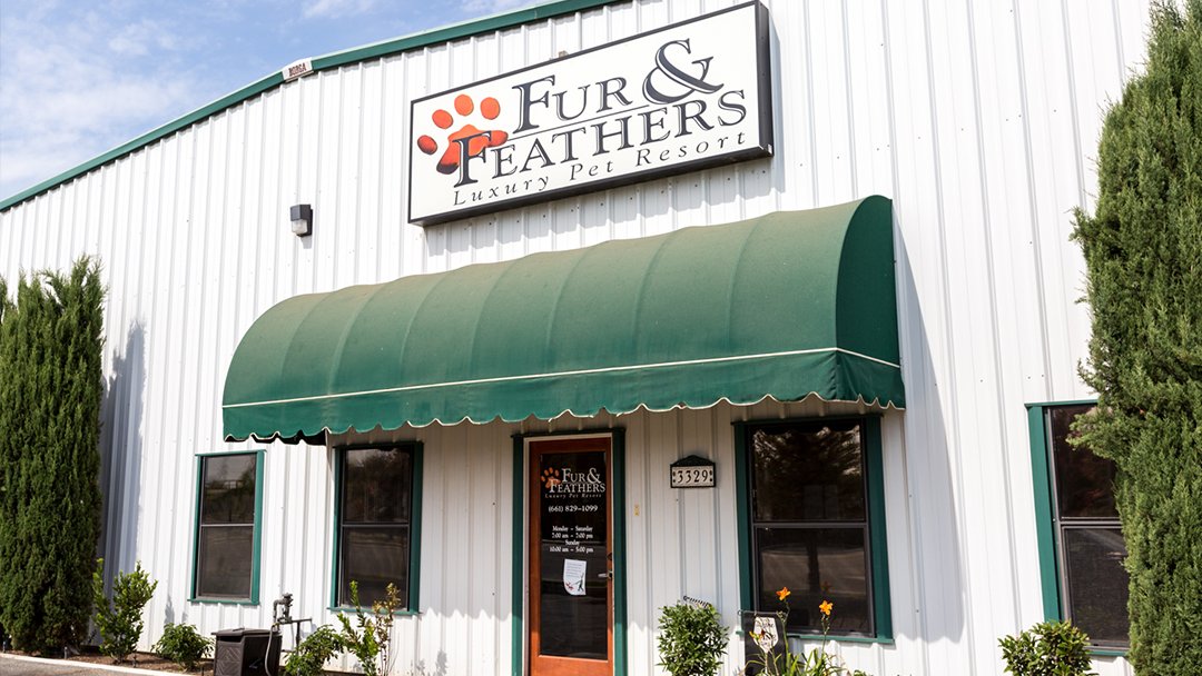 Fur & Feathers Pet Resort - Photo 2