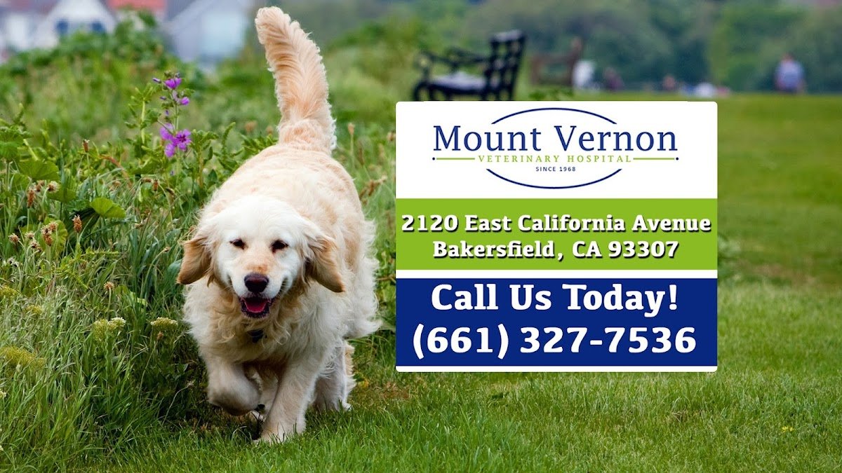Mt. Vernon Veterinary Hospital - Photo 2