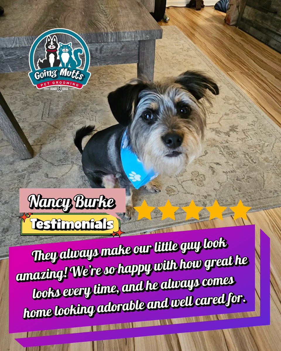 Going Mutts Pet Grooming - Photo 2