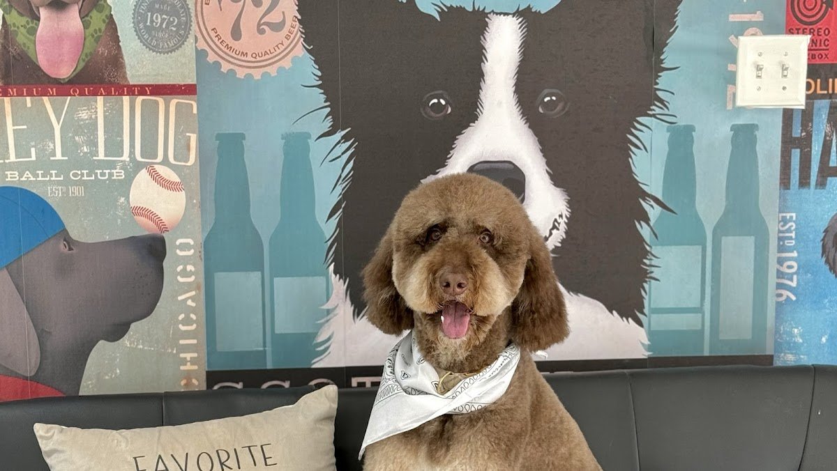 Doggie Do's Pet Salon - Photo 2