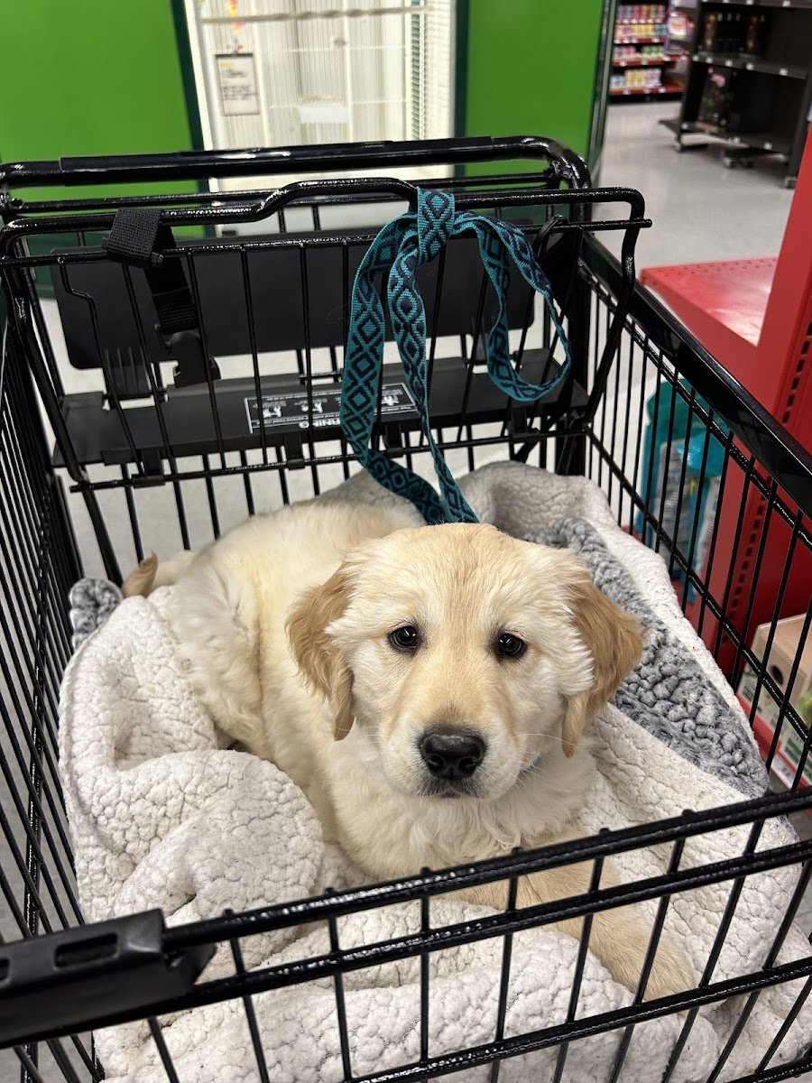 Bianca's Ark Pet Care - Photo 2