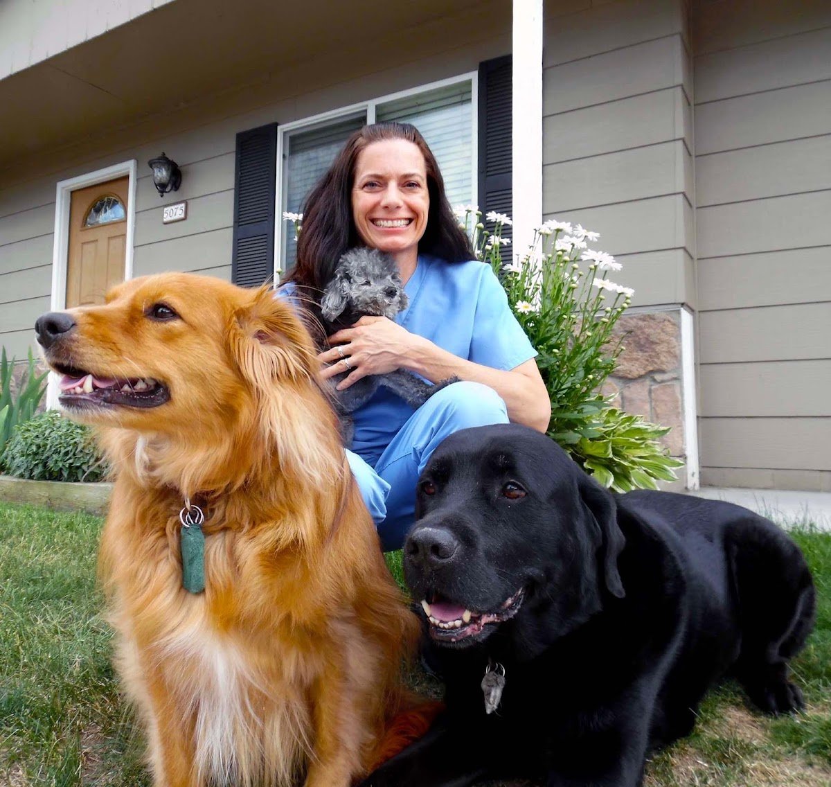 Cherry Knolls Veterinary Clinic Centennial - Photo 3