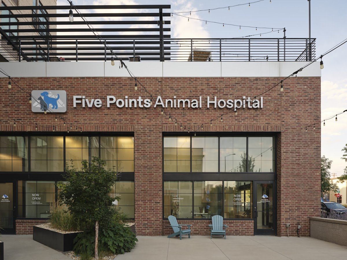 Five Points Animal Hospital - Photo 2