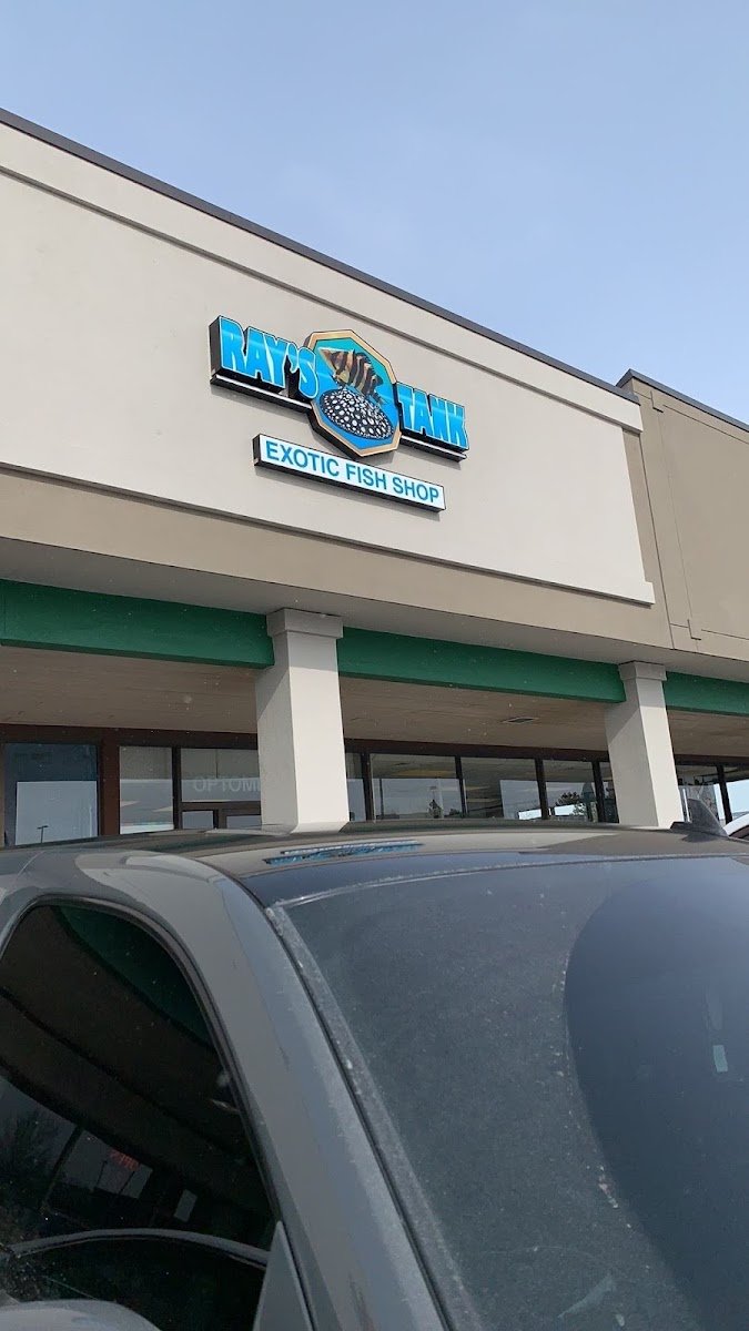 Rays Tank (Exotic Freshwater Fish Store) - Photo 2
