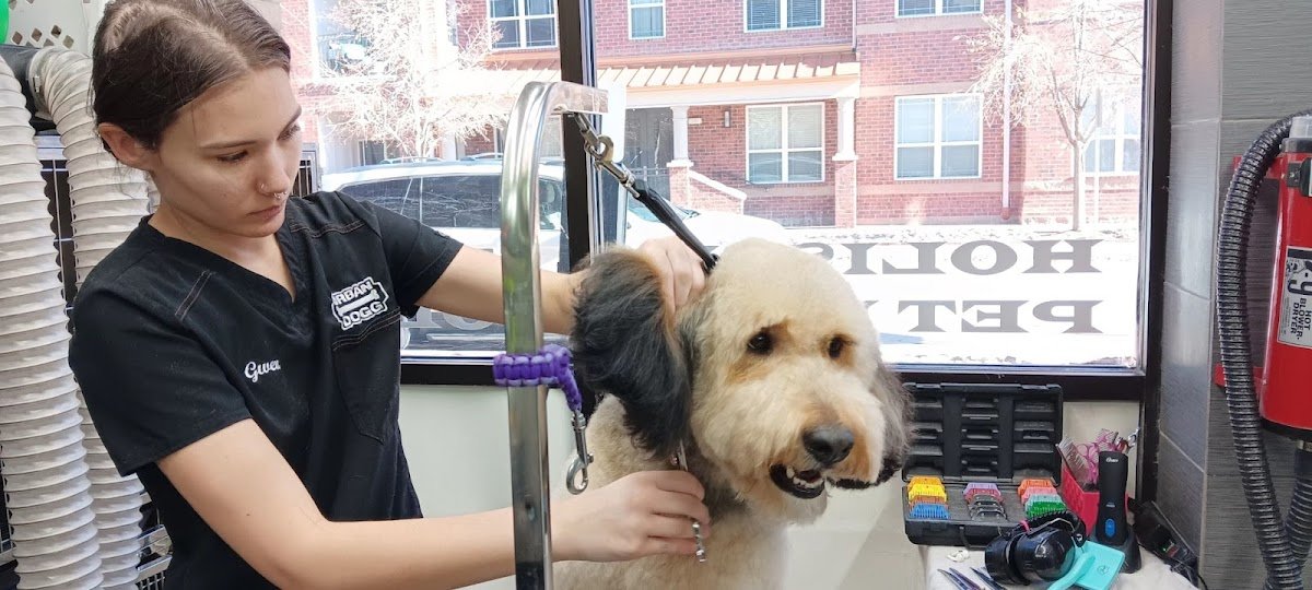 Urban Dogg Uptown - Photo 2