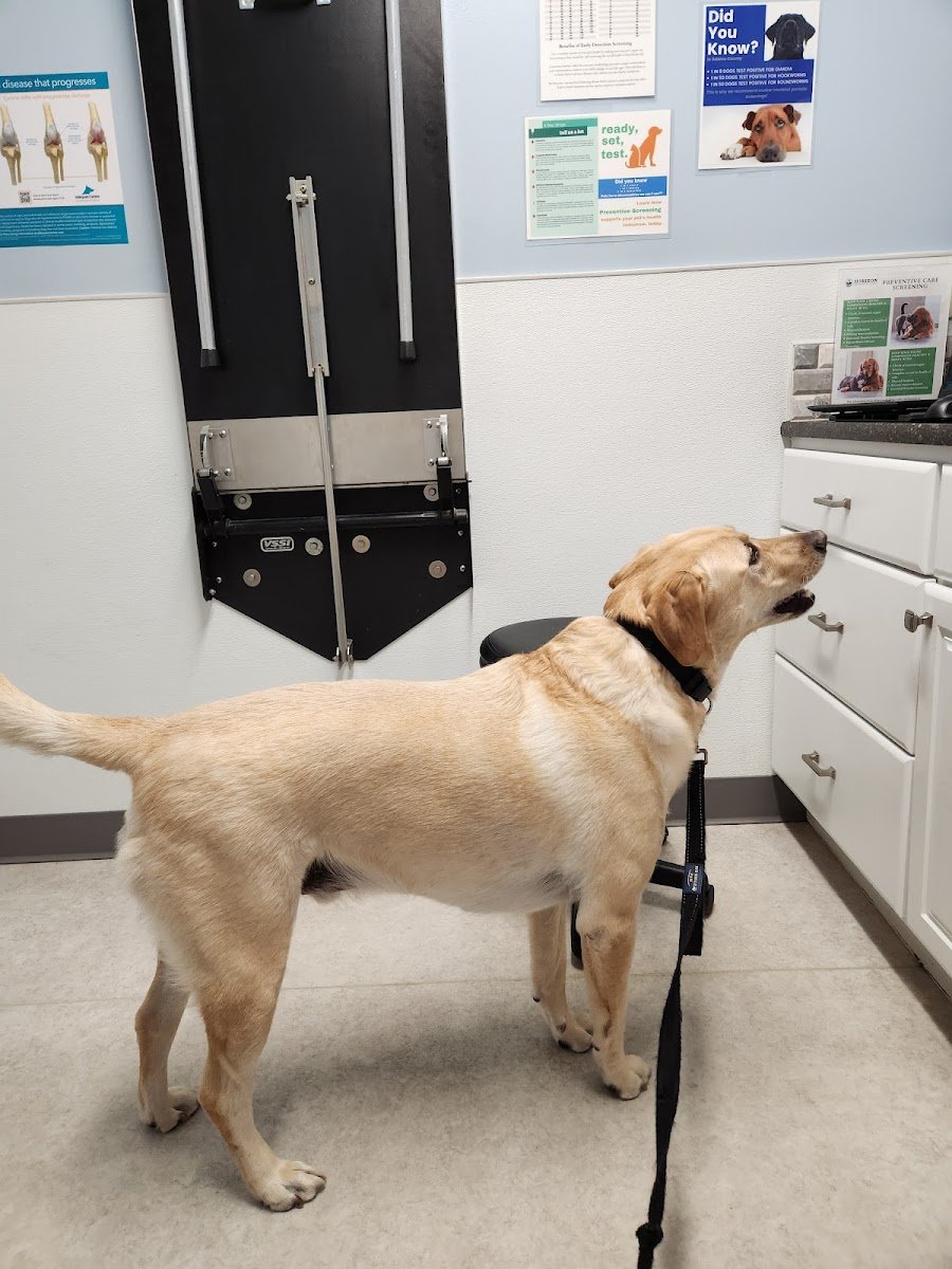 Horizon Veterinary Clinic - Photo 2