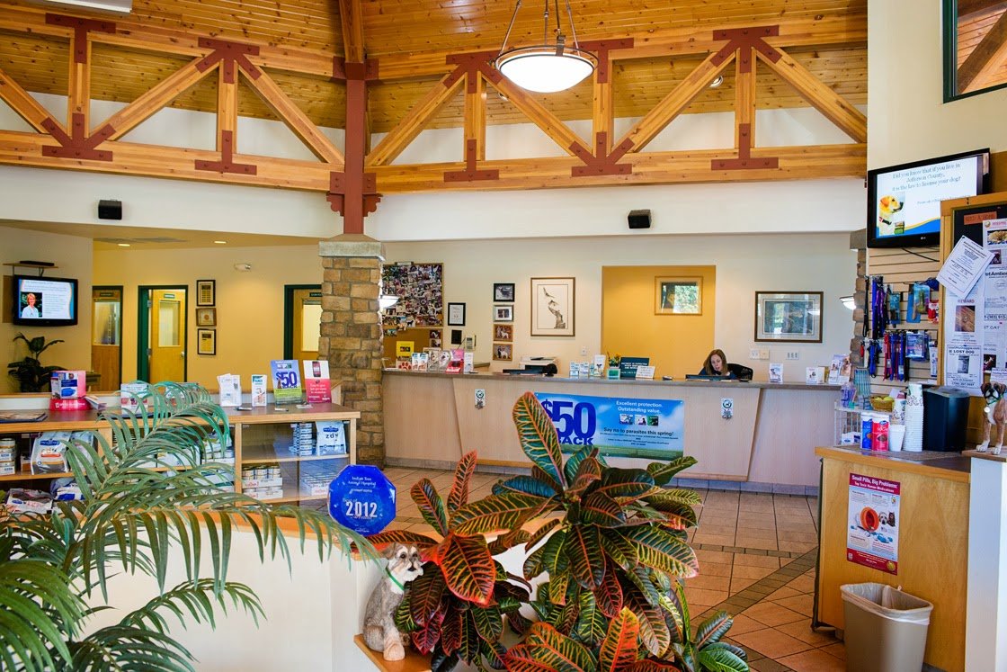 Indian Tree Animal Hospital - Photo 2