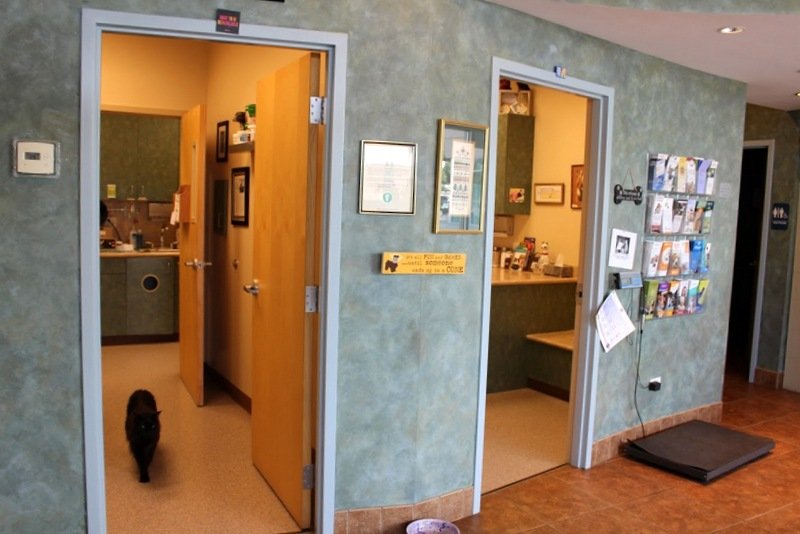 Broadlands Veterinary Clinic - Photo 2