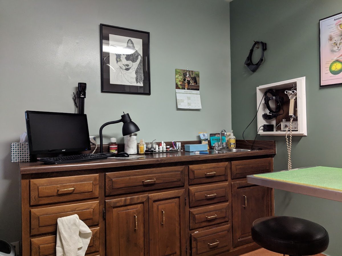 Eye Clinic Veterinary - Photo 2