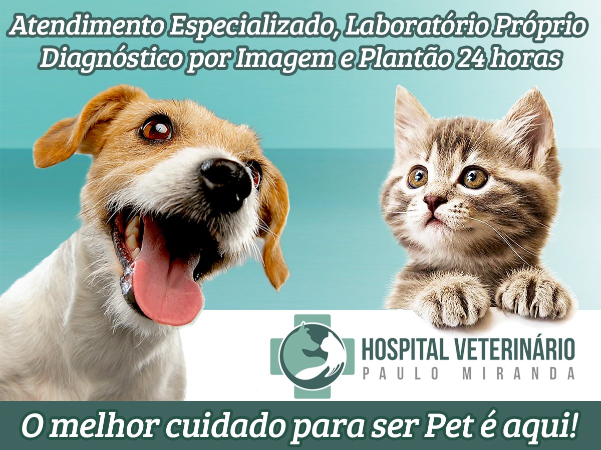 Centro Veterinário Paulo Miranda