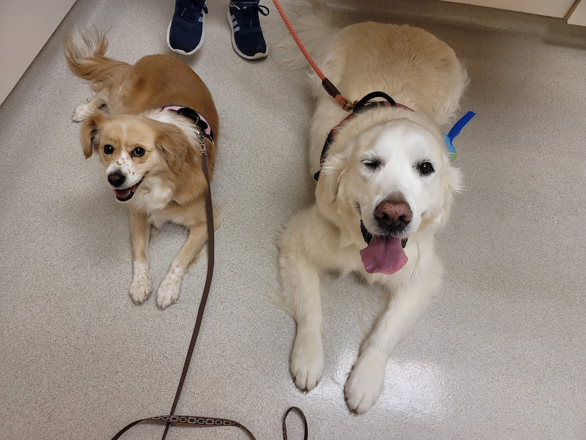 Lone Tree Veterinary Medical Center - Photo 2