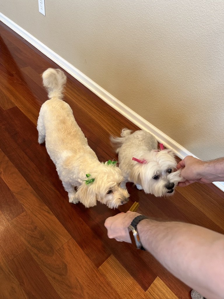 Furzzaflyin Pet Salon - Photo 2