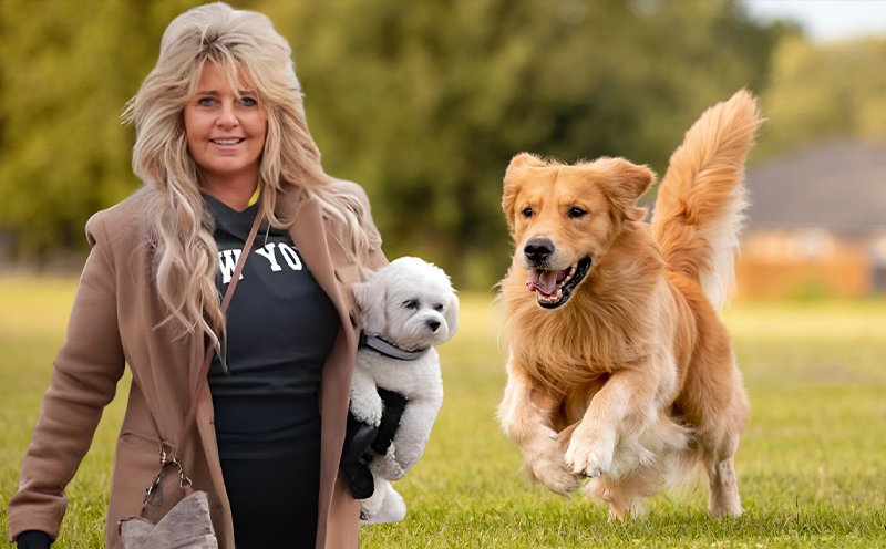 5 Star Dog Training - Photo 2