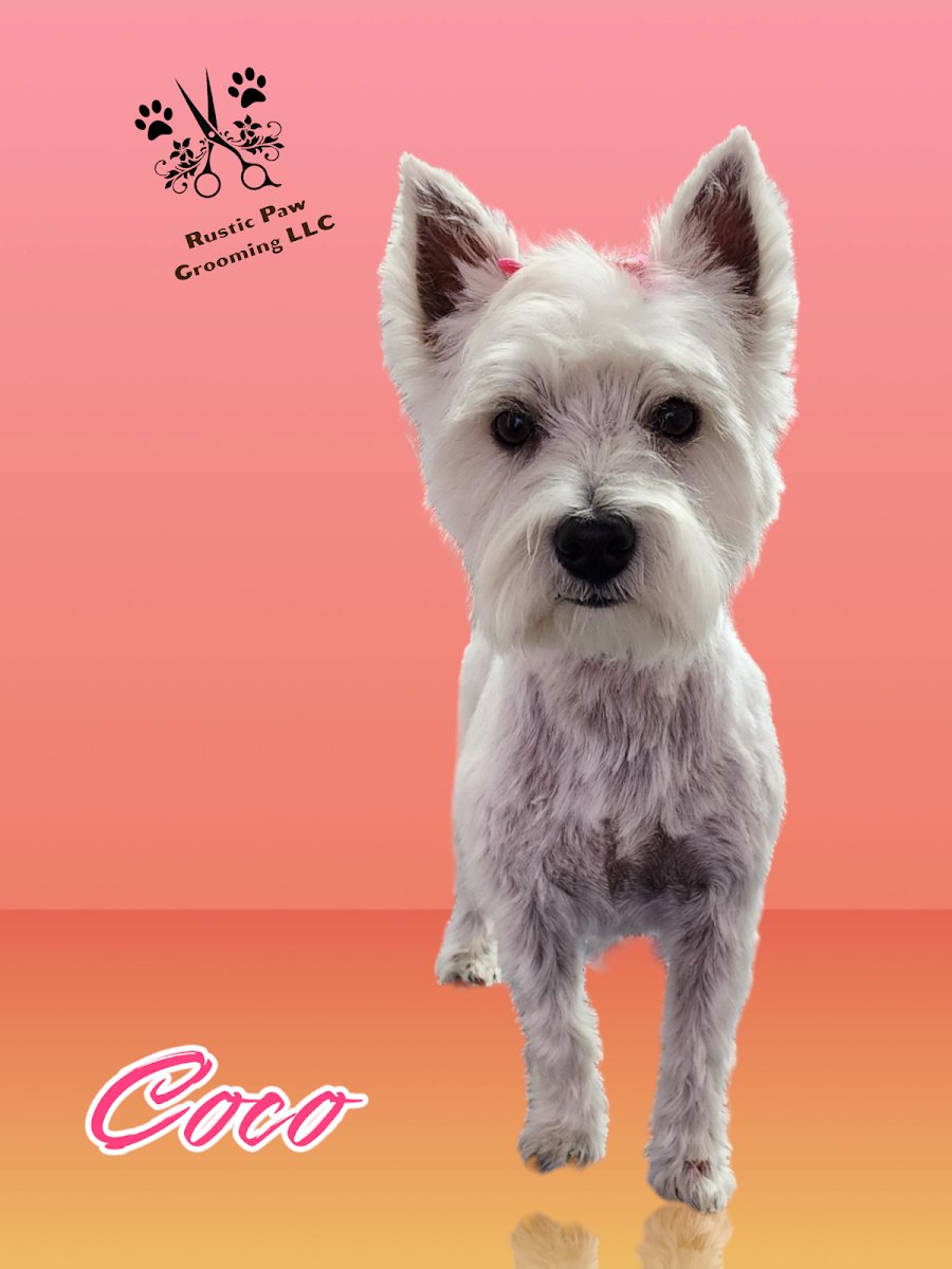 Rustic Paw Grooming LLC - Photo 2