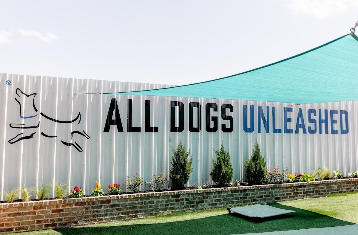 All Dogs Unleashed Dog Training Denver - Photo 2