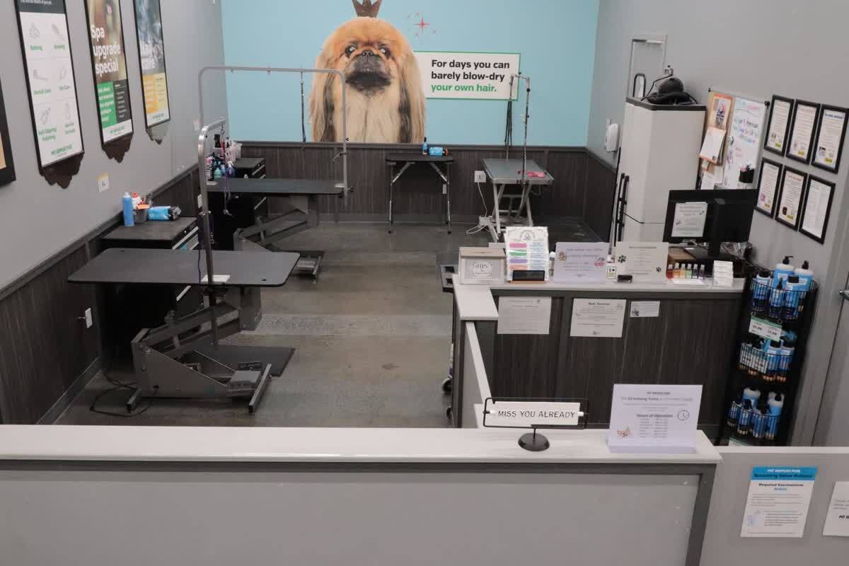 Pet Supplies Plus Huntington Beach Grooming - Photo 2