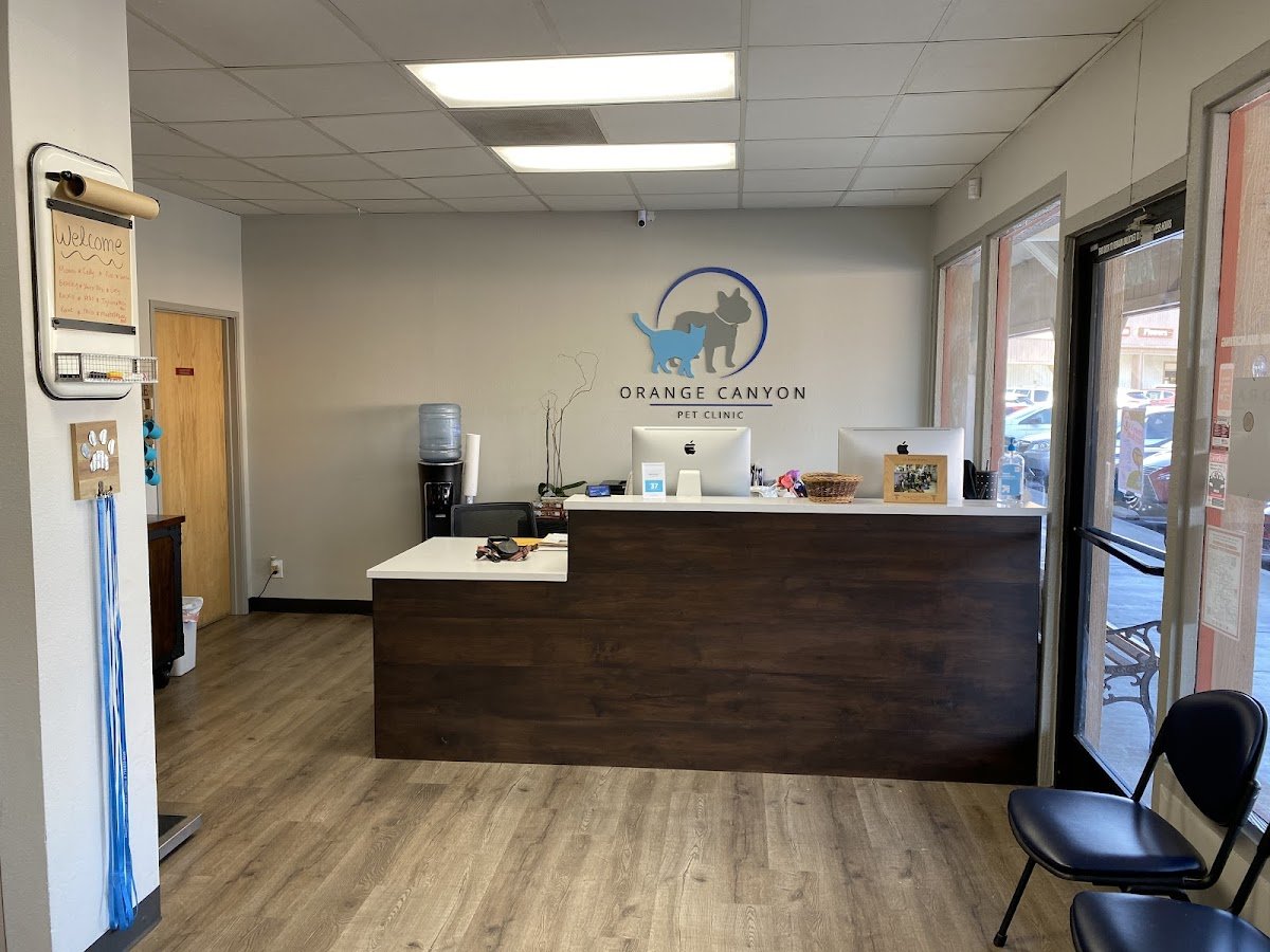 Orange Canyon Pet Clinic - Photo 2