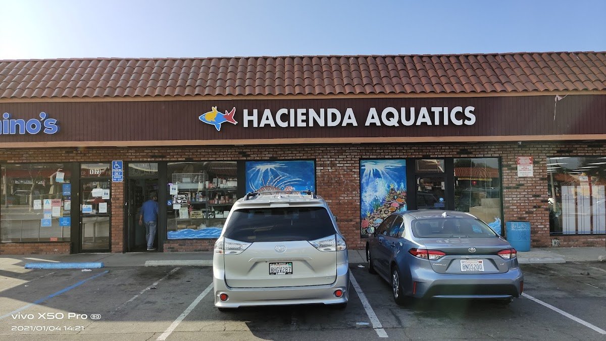 Hacienda Aquatics - Photo 2