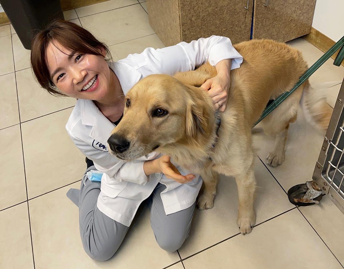 Hope Veterinary Care - Photo 2