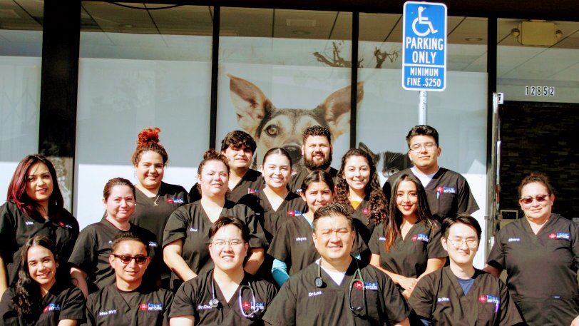 AM PM Ideal Pet Care - Photo 2