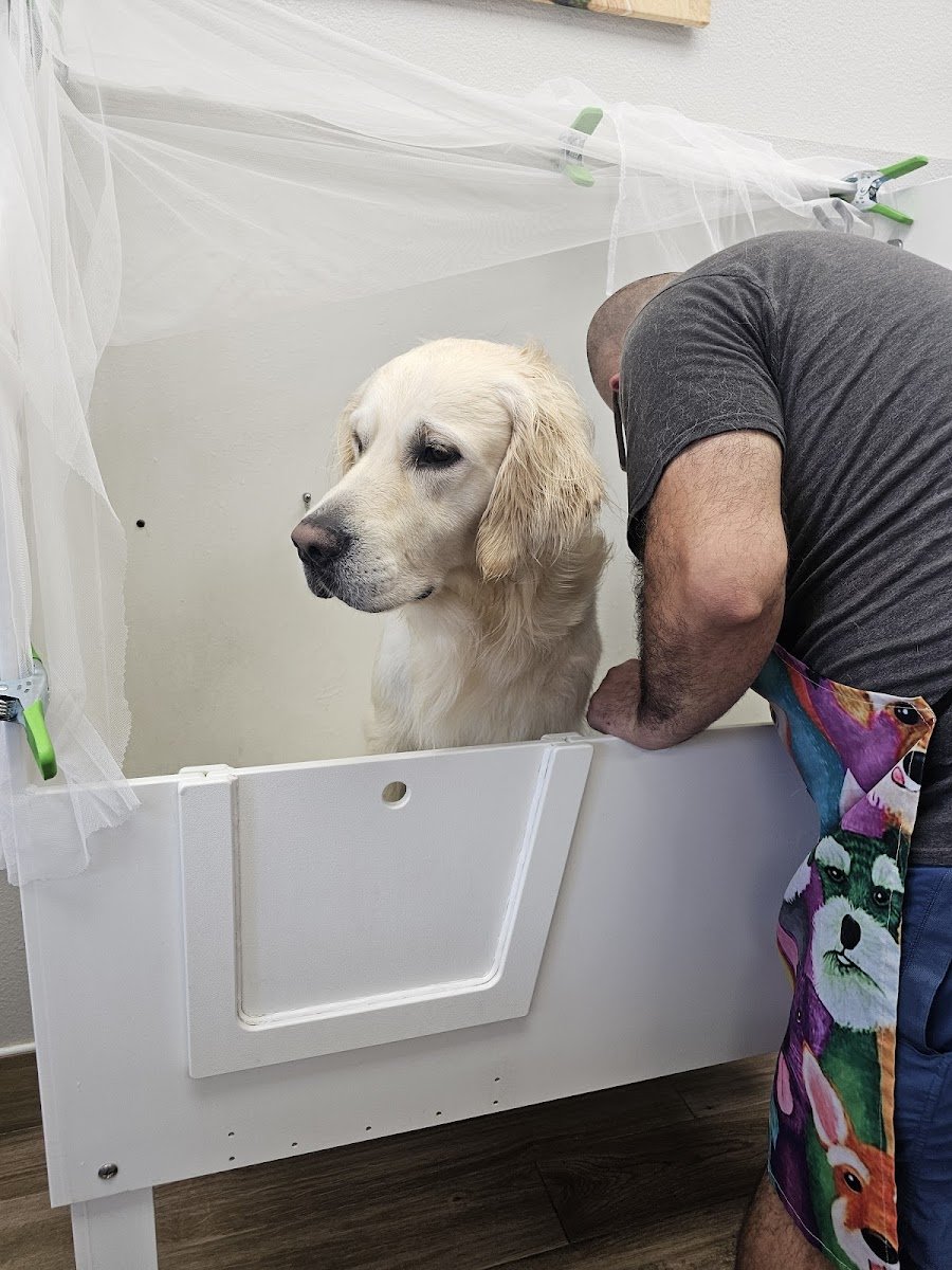Splash N Dash DIY Dog Wash - Photo 2