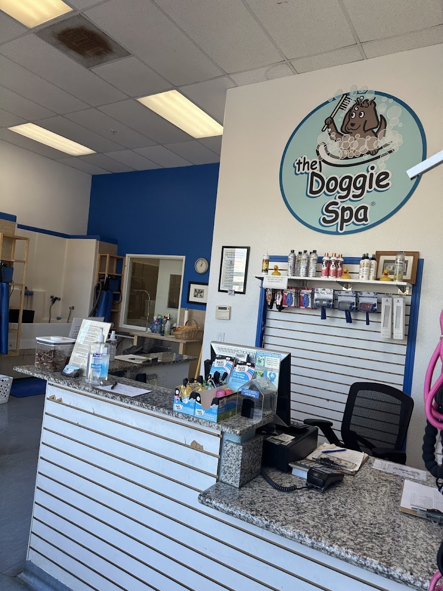 Doggie Spa - Photo 2
