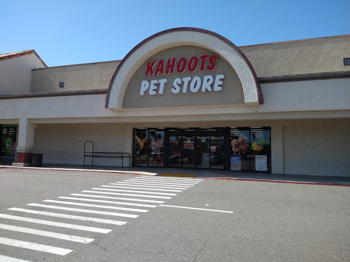 Kahoots - Photo 2