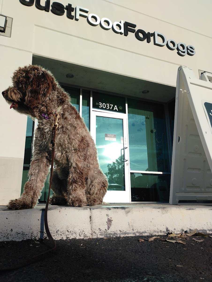 Just Food For Dogs - Photo 2