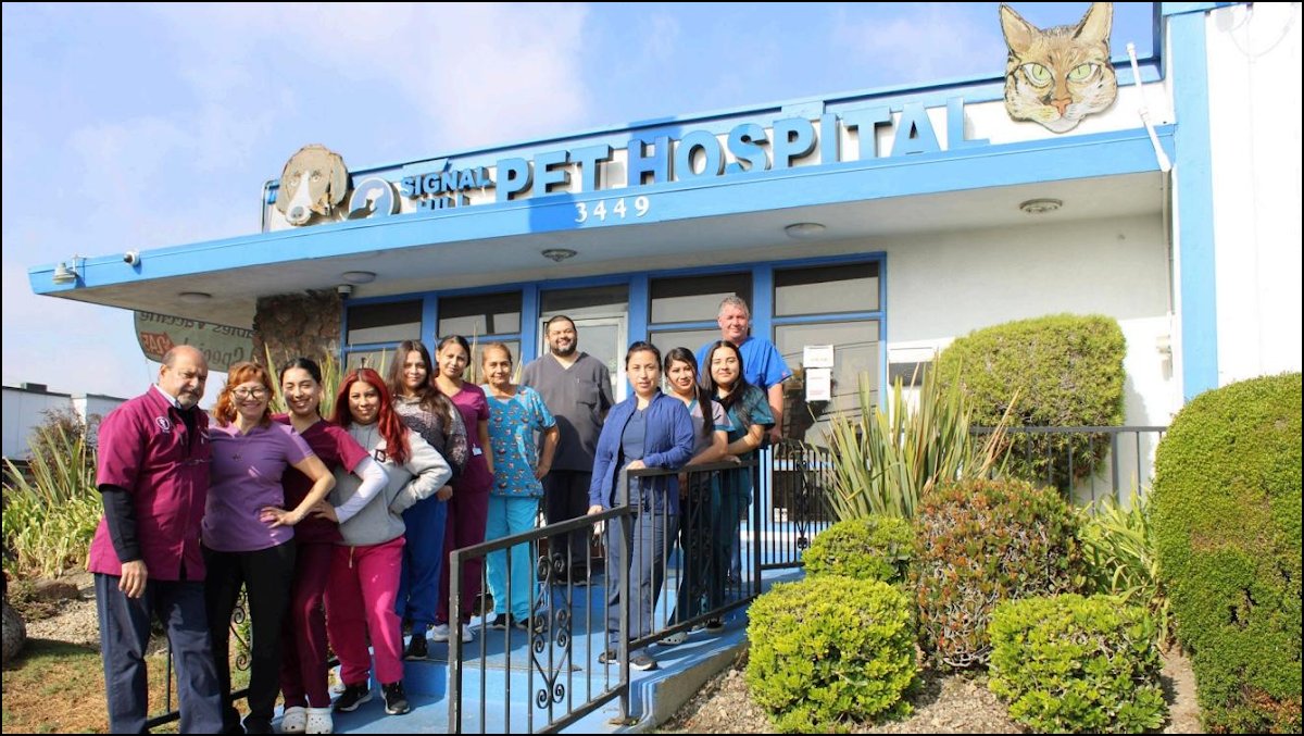 Signal Hill Pet Hospital - Photo 2