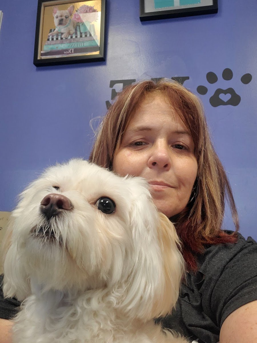 Big Red Barn Dog Grooming & Boarding - Photo 2