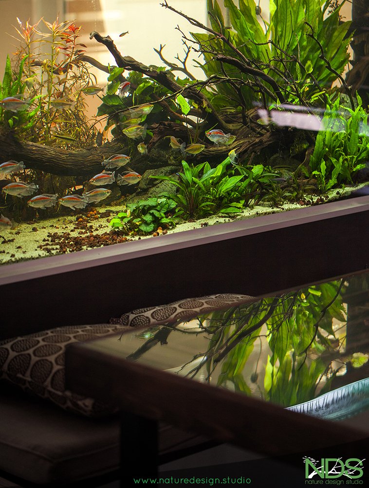 Nature Design Studio - Photo 2