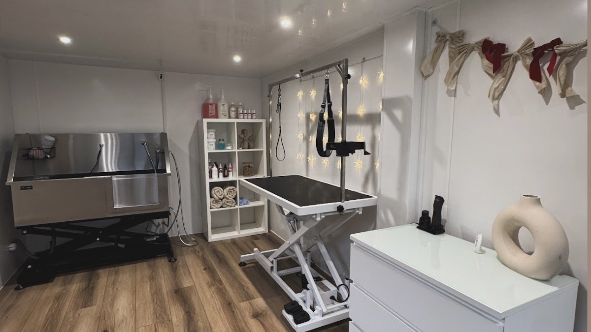 Golden Paw Mobile Spa - Photo 2