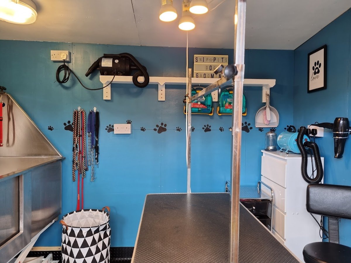 Snip-pets dog grooming - Photo 2